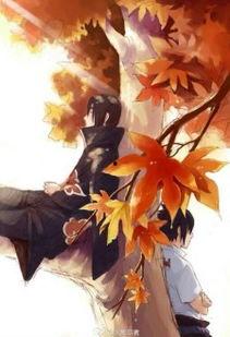 火影忍者鼬最新爆料视频,火影忍者最新爆料视频揭秘神秘真相 第3张 火影忍者鼬最新爆料视频,火影忍者最新爆料视频揭秘神秘真相 第3张