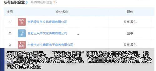热点爆料杨哥视频播放网站,热门爆料背后的真相  第3张