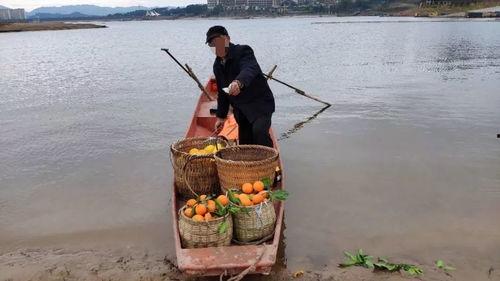 网友爆料渔船视频,惊险一幕!渔船海上遭遇突发状况 第2张 网友爆料渔船视频,惊险一幕!渔船海上遭遇突发状况 第2张