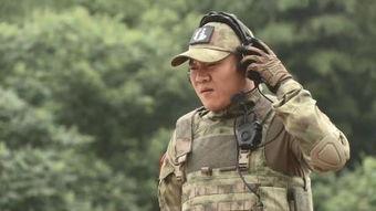 特种兵之火凤凰在线观看,热血铸就传奇，战火中的青春之歌  第2张